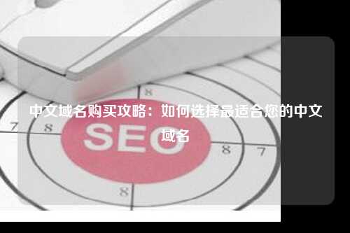 中文域名购买攻略：如何选择最适合您的中文域名